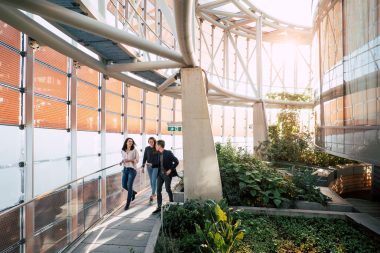 Environment and sustainability