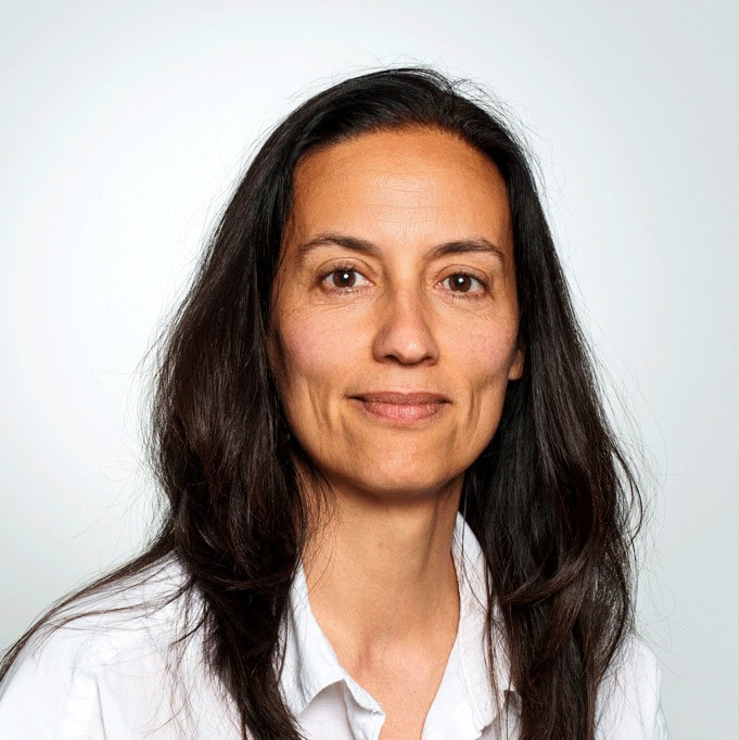 DI<sup>in</sup> Maria del Pilar Caballo Perucha, MSc 