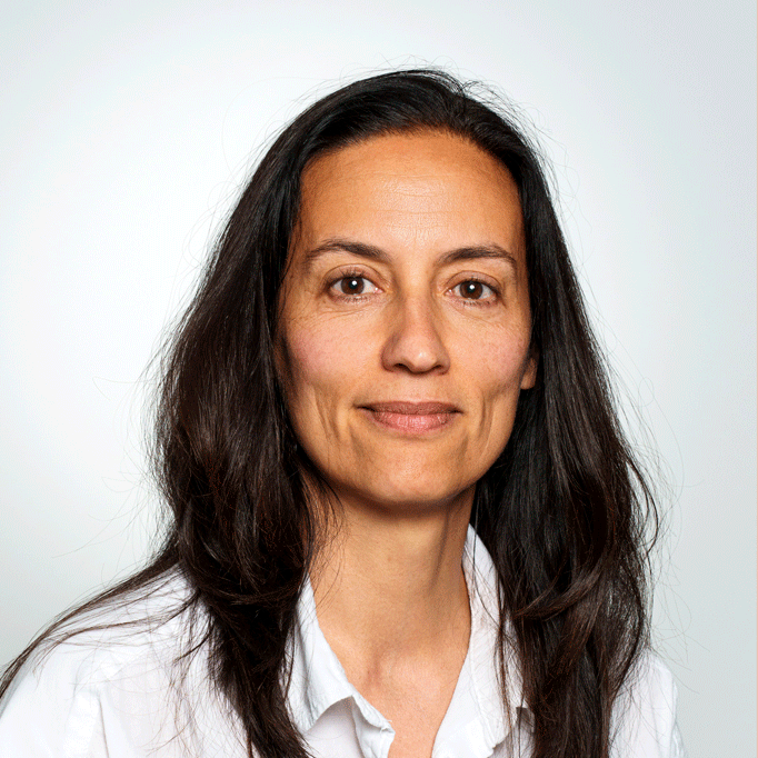 DI<sup>in</sup> Maria del Pilar Caballo Perucha, MSc 