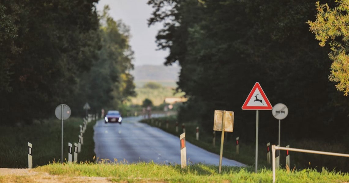 Pexel: Vladimir Srajber