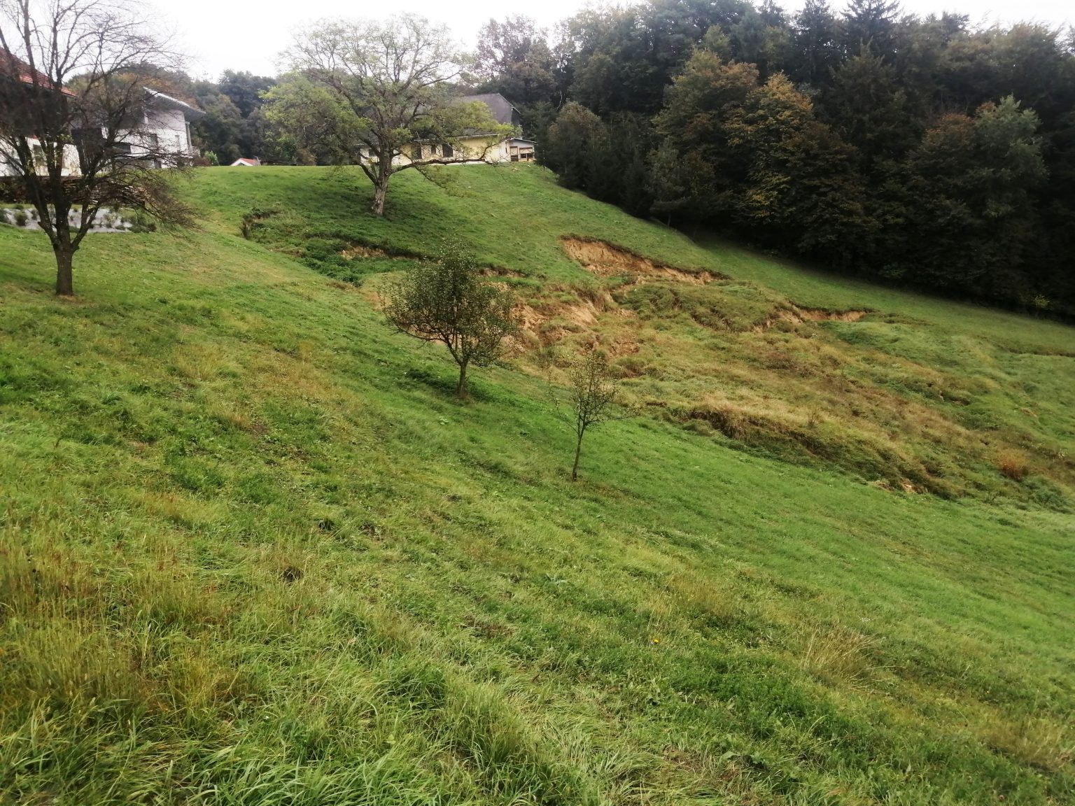 Landslide in southern Styria in August 2023, Credit: JOANNEUM RESEACH
