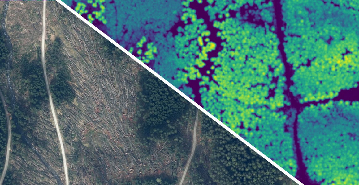 Windwurfflächen im Orthofoto (links) und der Laserscan vor dem Sturmereignis (rechts), Foto: Orthofoto und Laserscan/Land Steiermark, Grafik: JOANNEUM RESEARCH