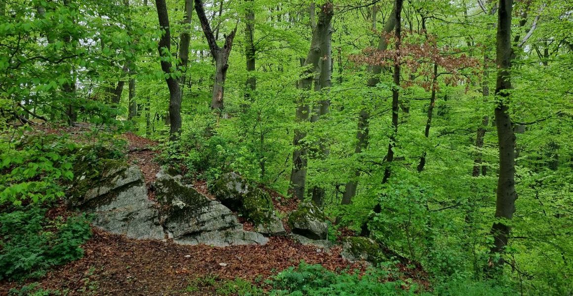 Foto: JOANNEUM RESEARCH/H. Gallaun