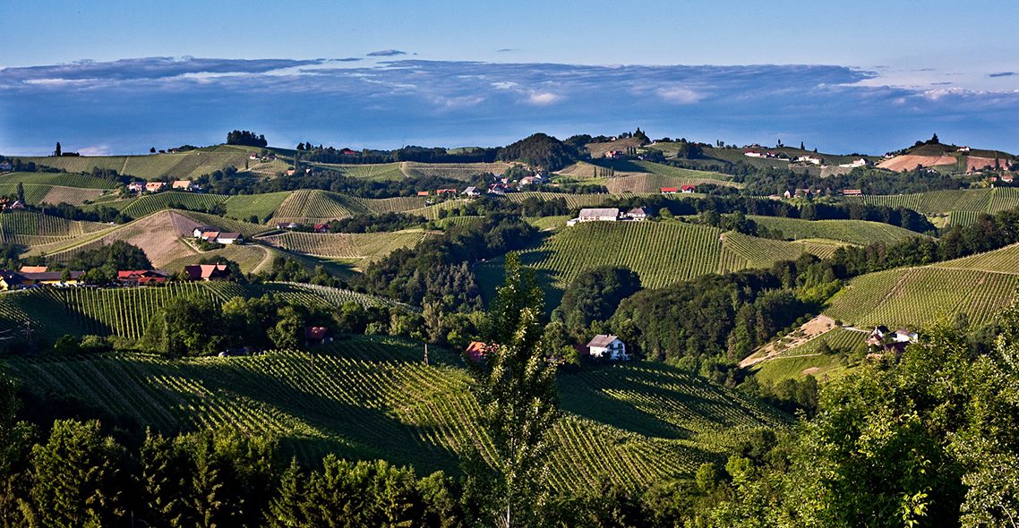 Weinanbaugebiet Südsteiermark Foto: P. Schallauer