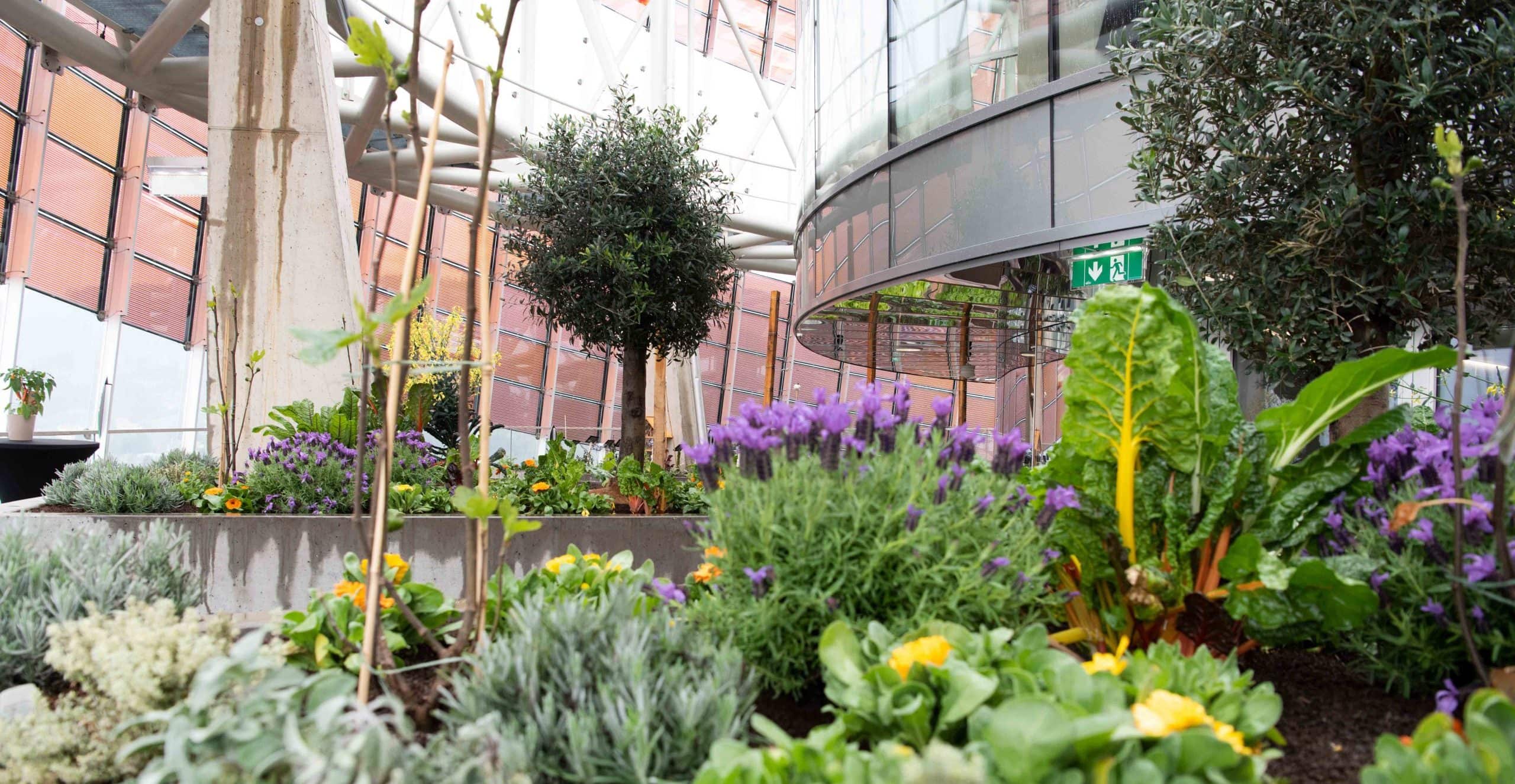 Foto des Dachgartens