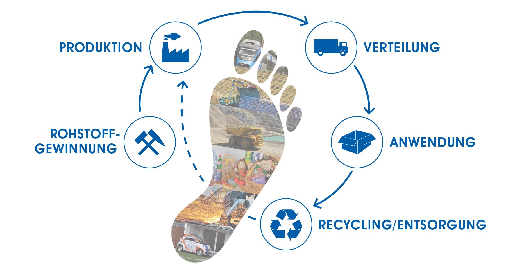 Grafische Darstellung des ökologischen Fußabdrucks mit der Lebenszyklusanalyse, bestehend aus den Schritten: Rohstoffgewinnung, Produktion, Verteilung, Anwendung, Recycling/Entsorgung
