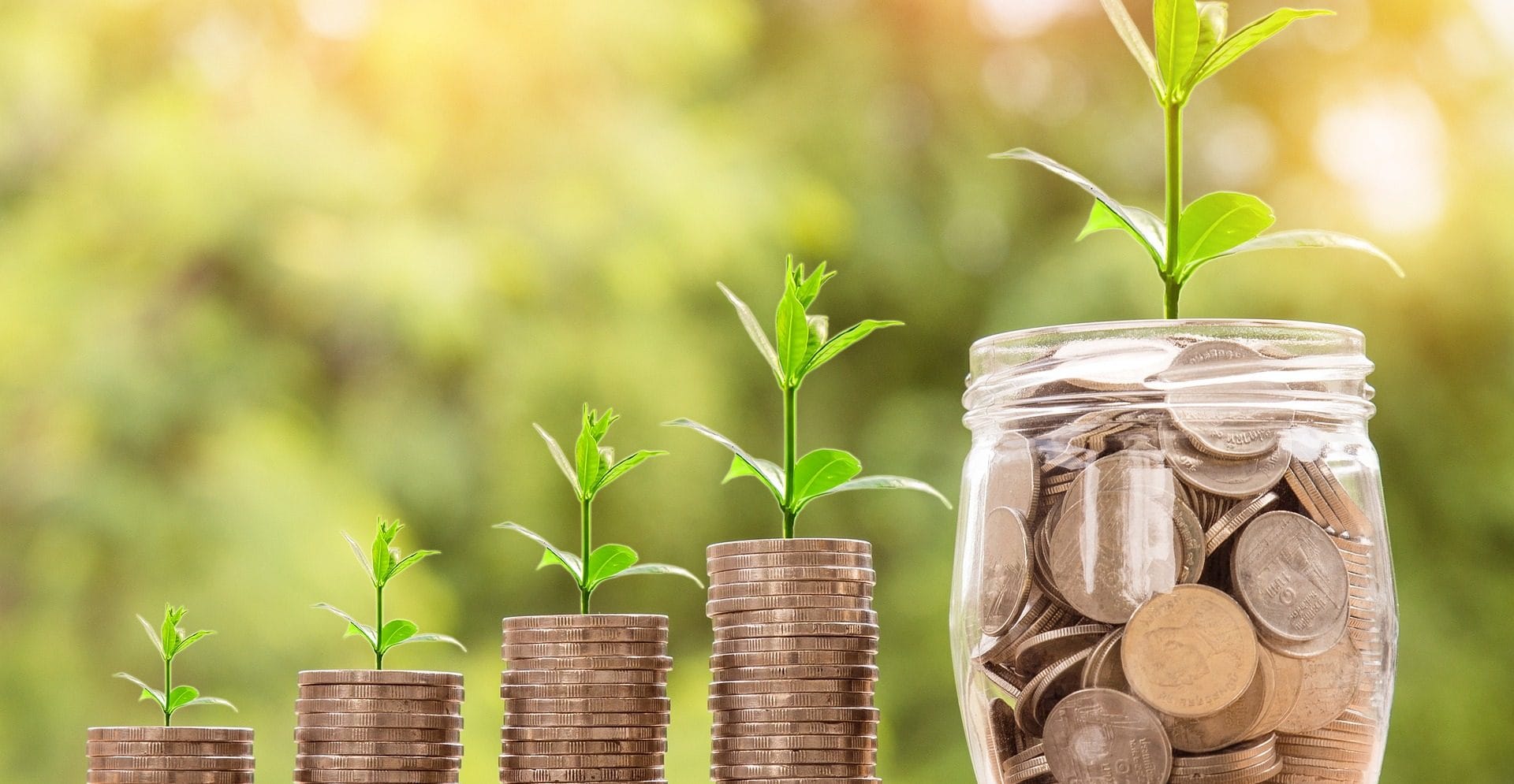 Grafik von Geldmünzen, aus denen Pflanzen wachsen