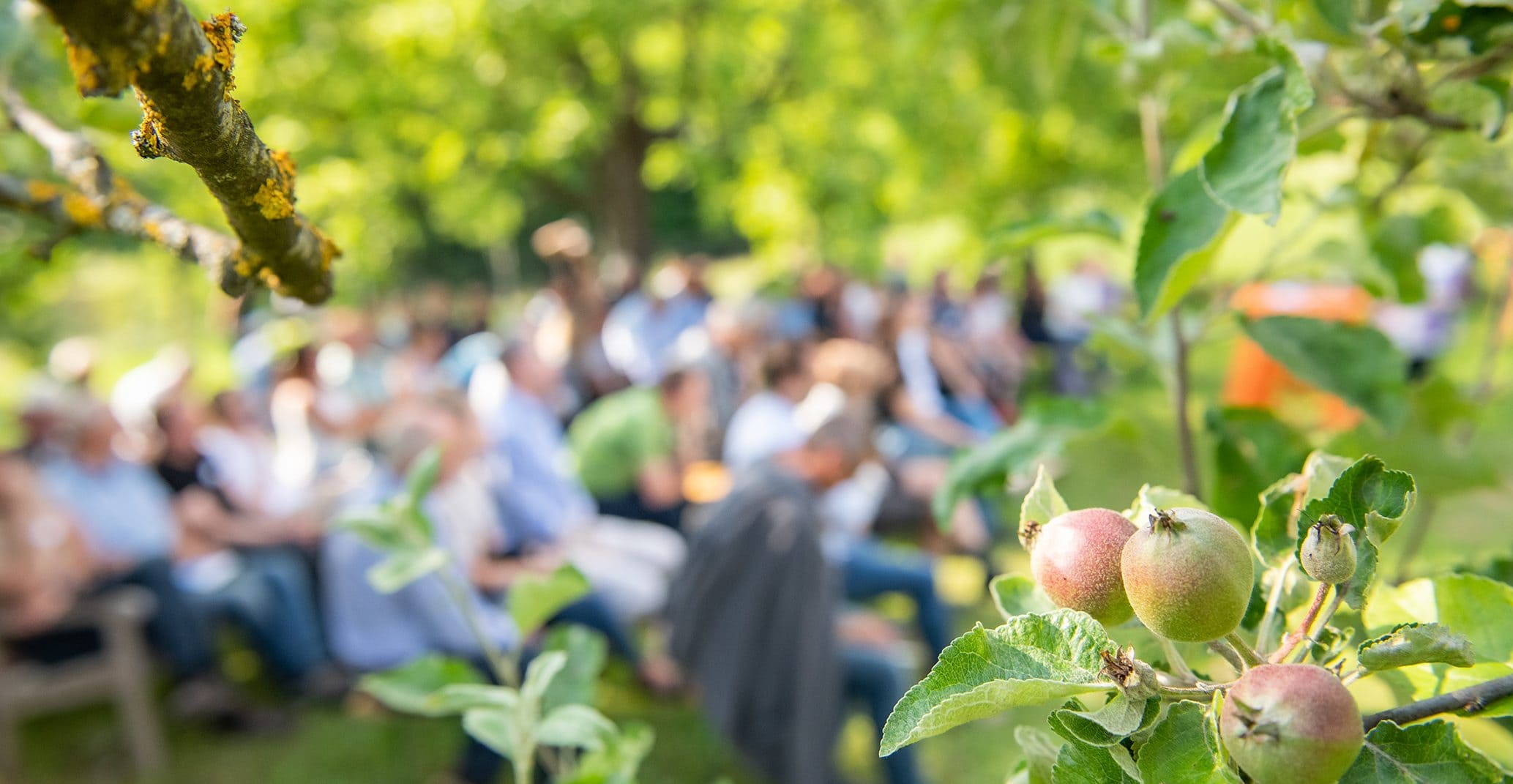 Foto der Energiegespräche im Obstgarten