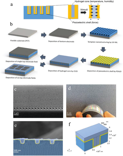 Kern-Schale-Nanostäbchen-Sensorkonzept