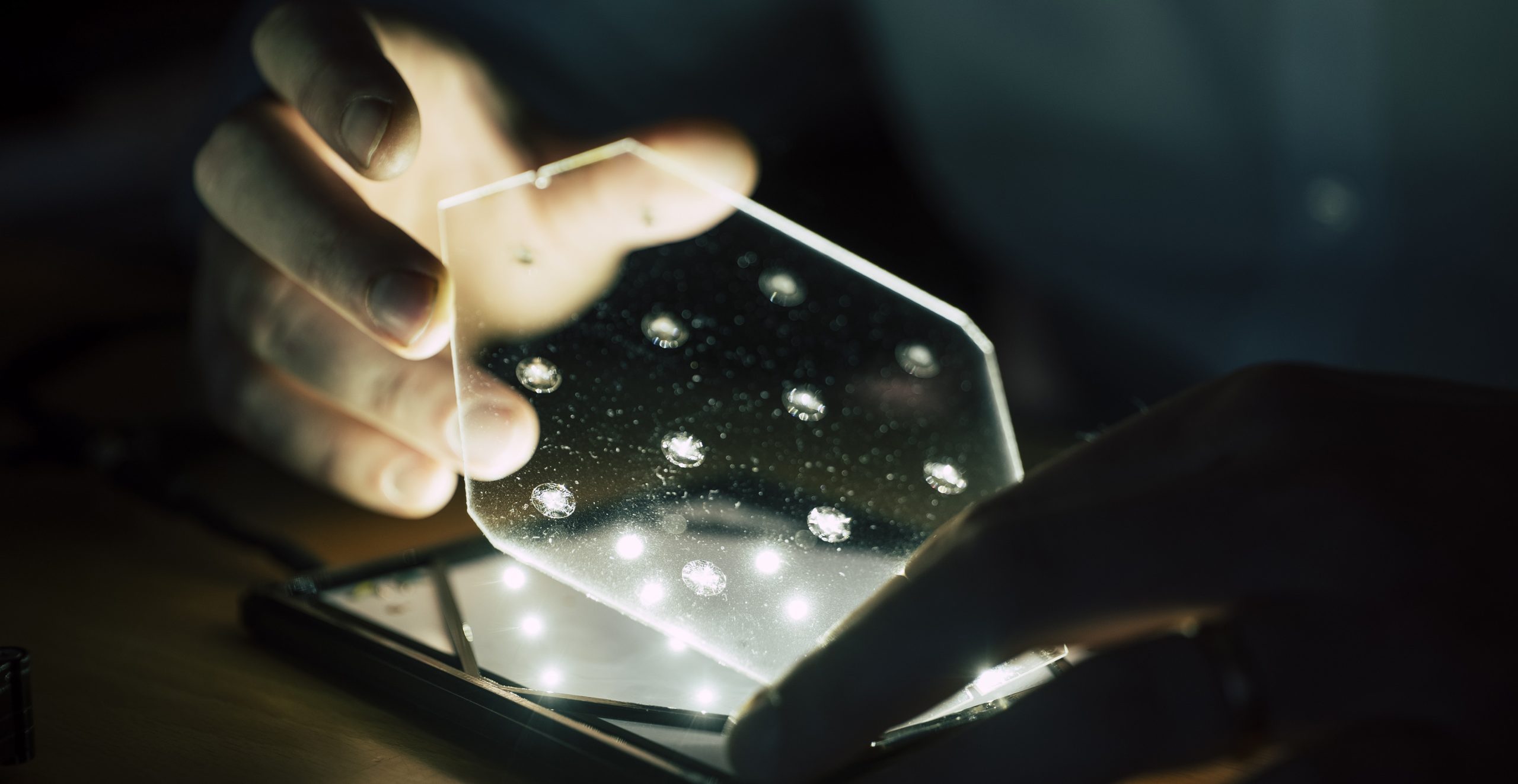 (c) bernhard bergmann-1635401_web