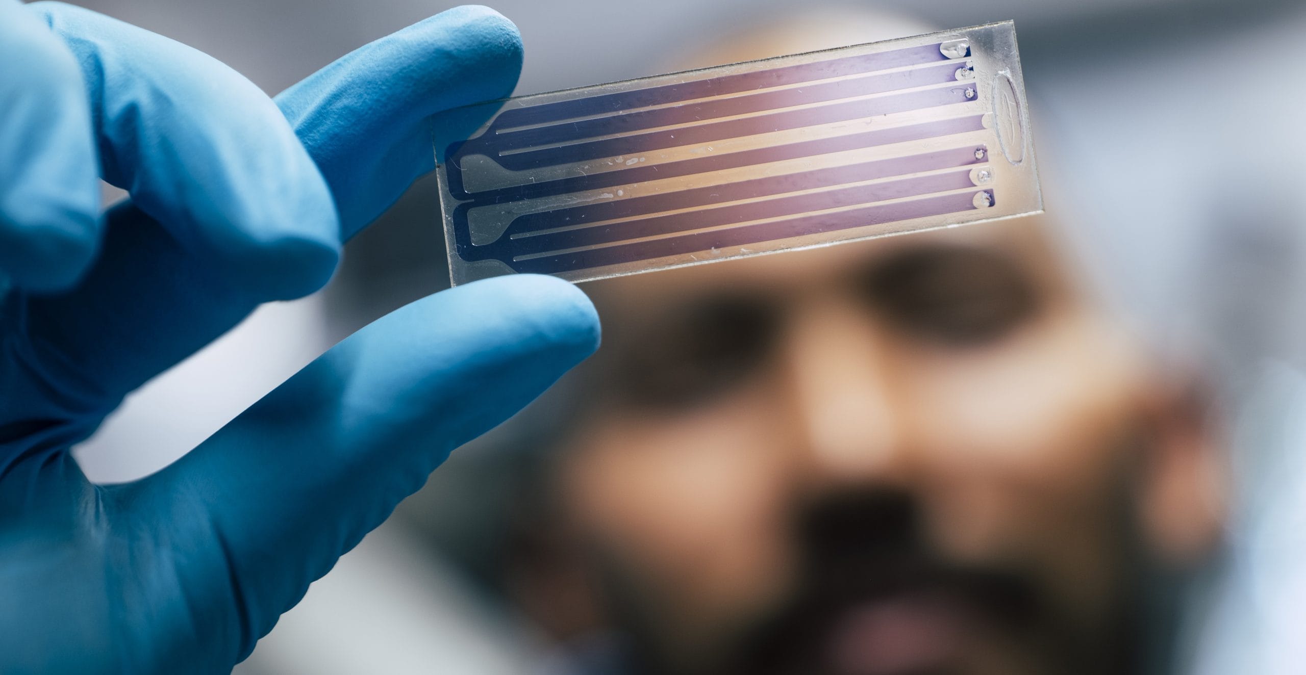 Man hält Chip gegen das Licht. Symbolbild für Lab-on-a-Chip bzw. Organ-on-a-Chip