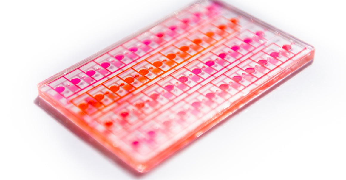 Lab-on-a-chip, organ-on-a-chip, body-on-a-chip