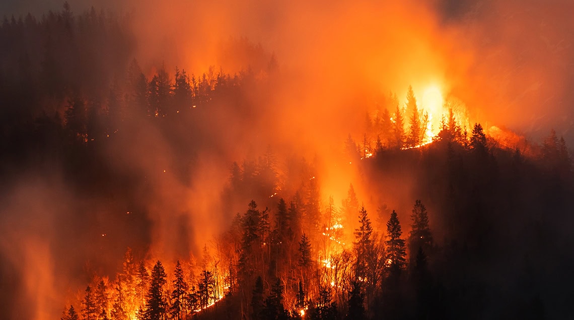 Imagebild von einem Waldbrand Inferno. Symbolbild für den Einsatz von Robotik in Katastrophenfällen.