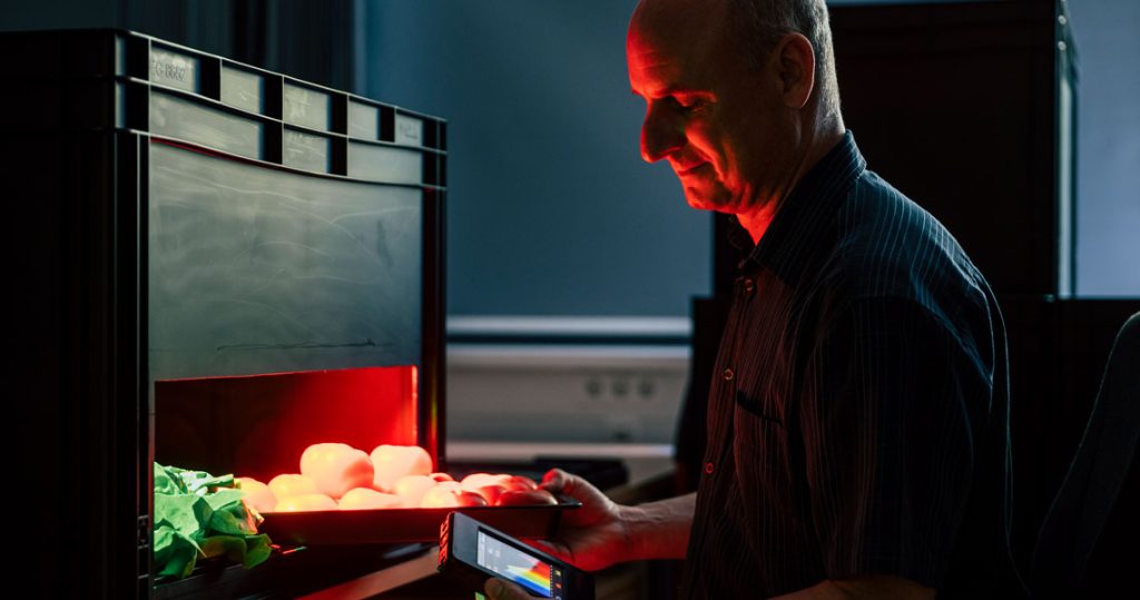 Christian Krutzler untersucht die Wirkung von Licht auf die Haltbarkeit von Lebensmitteln.