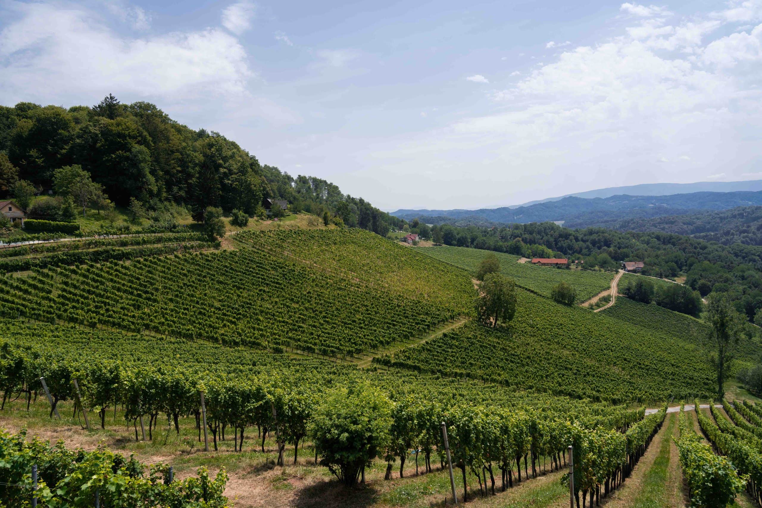 Weinberge Südsteiermark, Joanneum Research